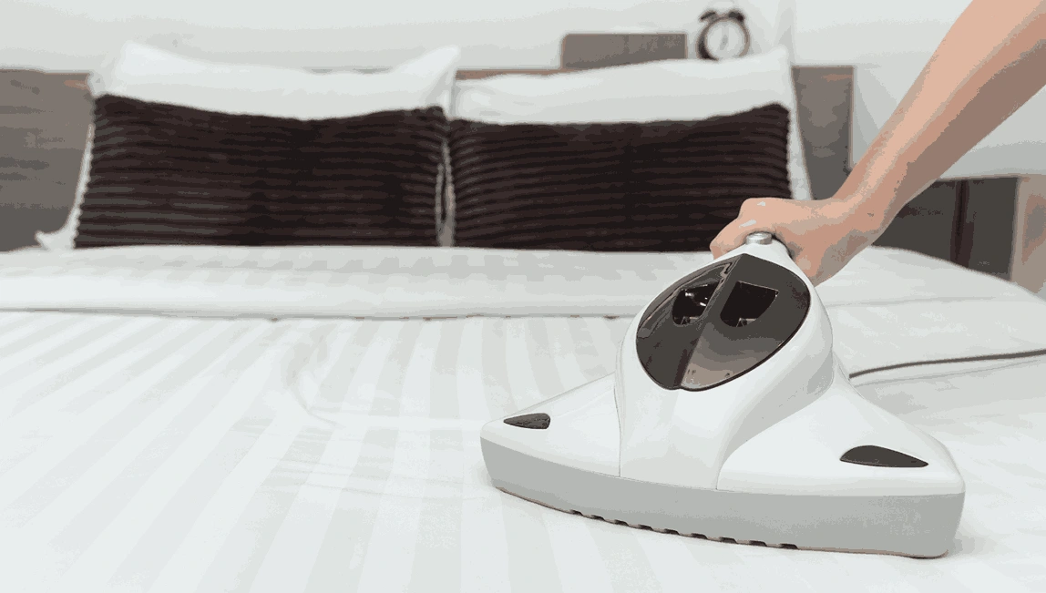 Professional Mattress Cleaning Fyansford